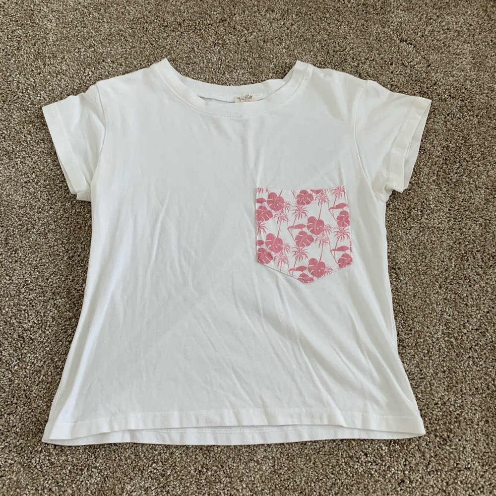 John Galt/brandy Melville cropped t shirt